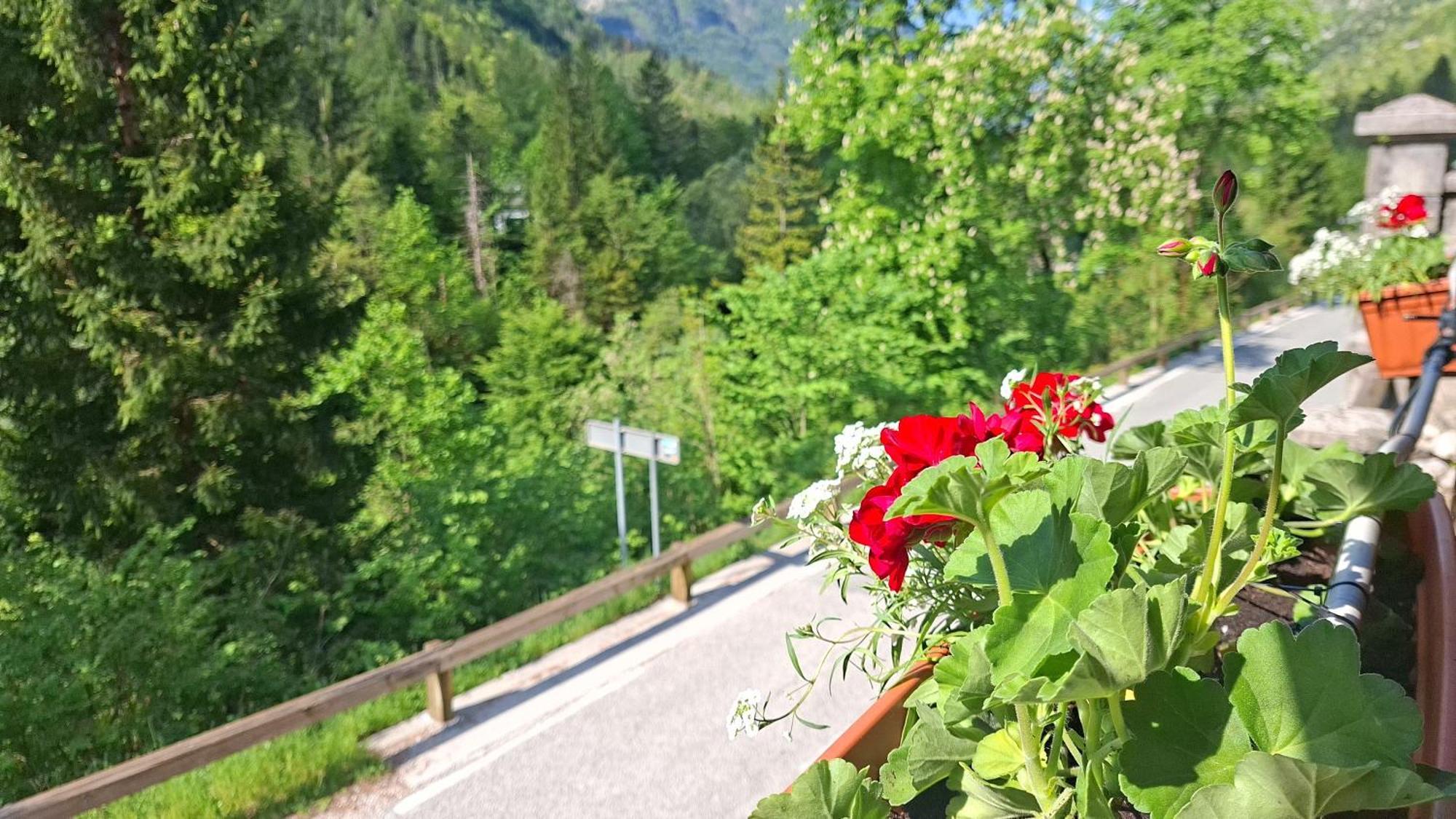 ホテル Gostisce Andrejc Soča エクステリア 写真